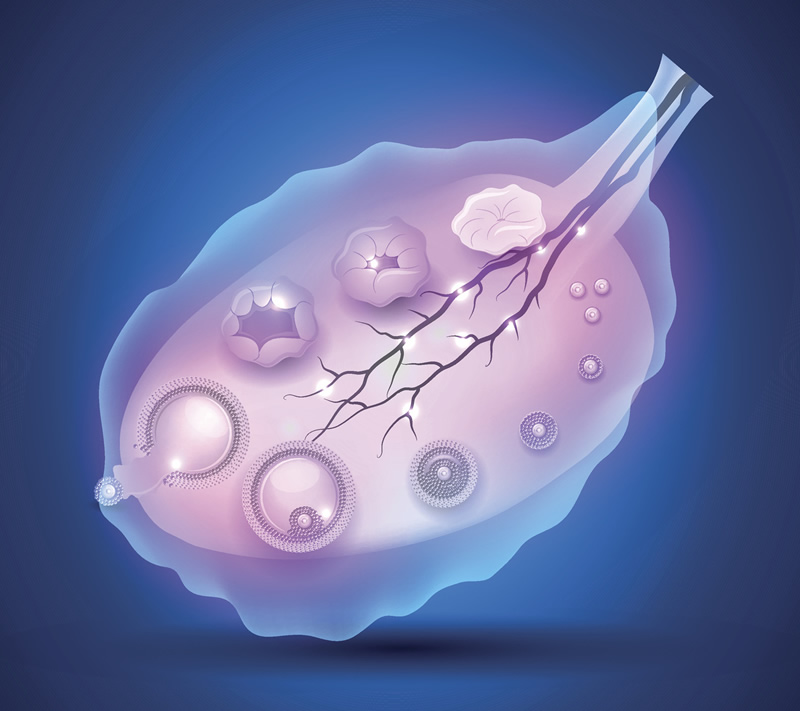 试管婴儿在长春哪个医院好？长春哪里做试管婴儿成功率好？
